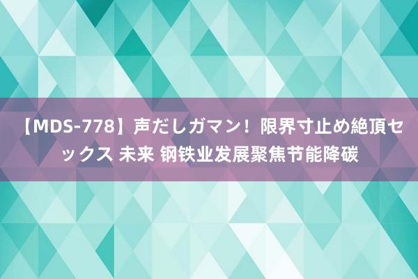 【MDS-778】声だしガマン！限界寸止め絶頂セックス 未来 钢铁业发展聚焦节能降碳