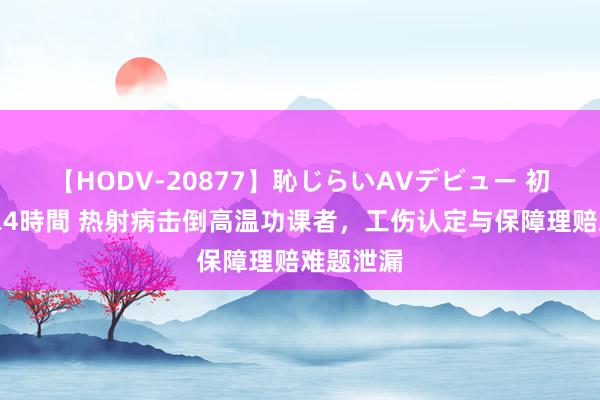 【HODV-20877】恥じらいAVデビュー 初セックス4時間 热射病击倒高温功课者，工伤认定与保障理赔难题泄漏