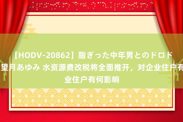 【HODV-20862】脂ぎった中年男とのドロドロ性交 望月あゆみ 水资源费改税将全面推开，对企业住户有何影响