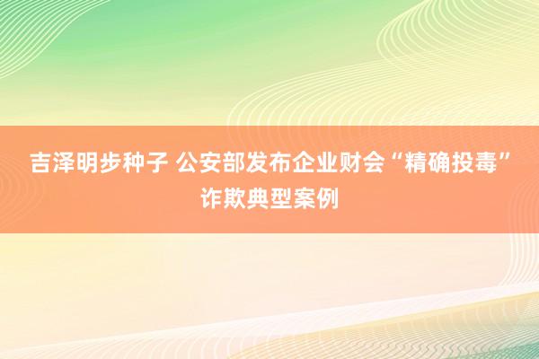 吉泽明步种子 公安部发布企业财会“精确投毒”诈欺典型案例