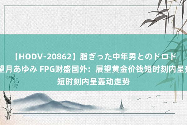 【HODV-20862】脂ぎった中年男とのドロドロ性交 望月あゆみ FPG财盛国外：展望黄金价钱短时刻内呈轰动走势