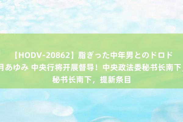 【HODV-20862】脂ぎった中年男とのドロドロ性交 望月あゆみ 中央行将开展督导！中央政法委秘书长南下，提新条目