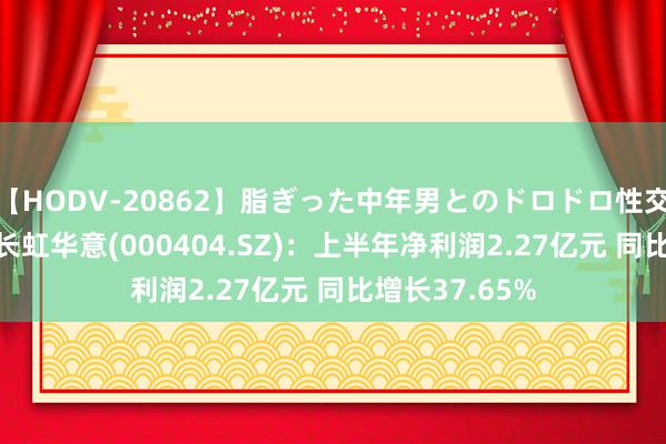 【HODV-20862】脂ぎった中年男とのドロドロ性交 望月あゆみ 长虹华意(000404.SZ)：上半年净利润2.27亿元 同比增长37.65%