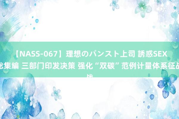 【NASS-067】理想のパンスト上司 誘惑SEX総集編 三部门印发决策 强化“双碳”范例计量体系征战