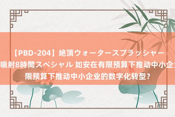 【PBD-204】絶頂ウォータースプラッシャー 放尿＆潮吹き大噴射8時間スペシャル 如安在有限预算下推动中小企业的数字化转型？