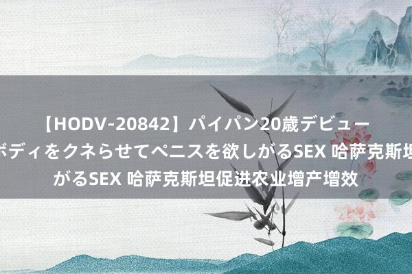 【HODV-20842】パイパン20歳デビュー 望月あゆみ 8頭身ボディをクネらせてペニスを欲しがるSEX 哈萨克斯坦促进农业增产增效