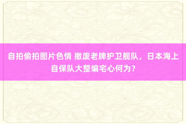 自拍偷拍图片色情 撤废老牌护卫舰队，日本海上自保队大整编宅心何为？