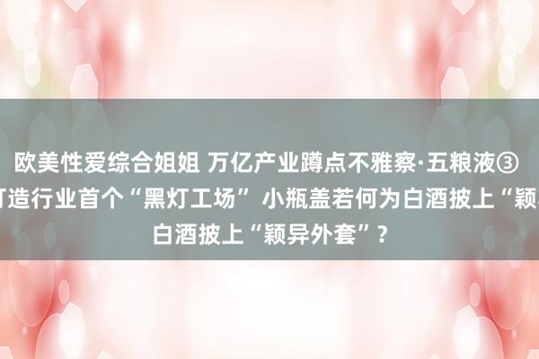 欧美性爱综合姐姐 万亿产业蹲点不雅察·五粮液③ | 用功于打造行业首个“黑灯工场” 小瓶盖若何为白酒披上“颖异外套”？