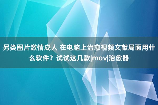 另类图片激情成人 在电脑上治愈视频文献局面用什么软件？试试这几款|mov|治愈器