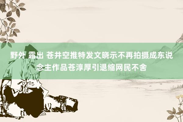 野外 露出 苍井空推特发文晓示不再拍摄成东说念主作品苍淳厚引退缩网民不舍